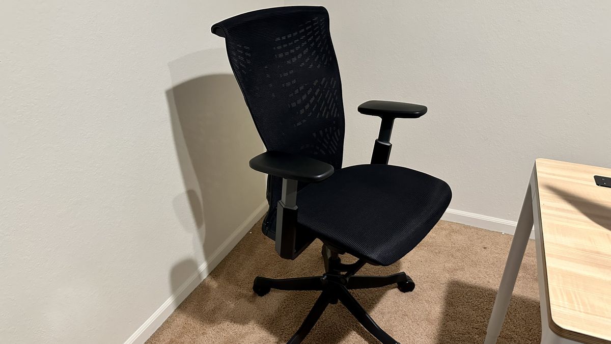 Autonomous ErgoChair Mesh office chair review