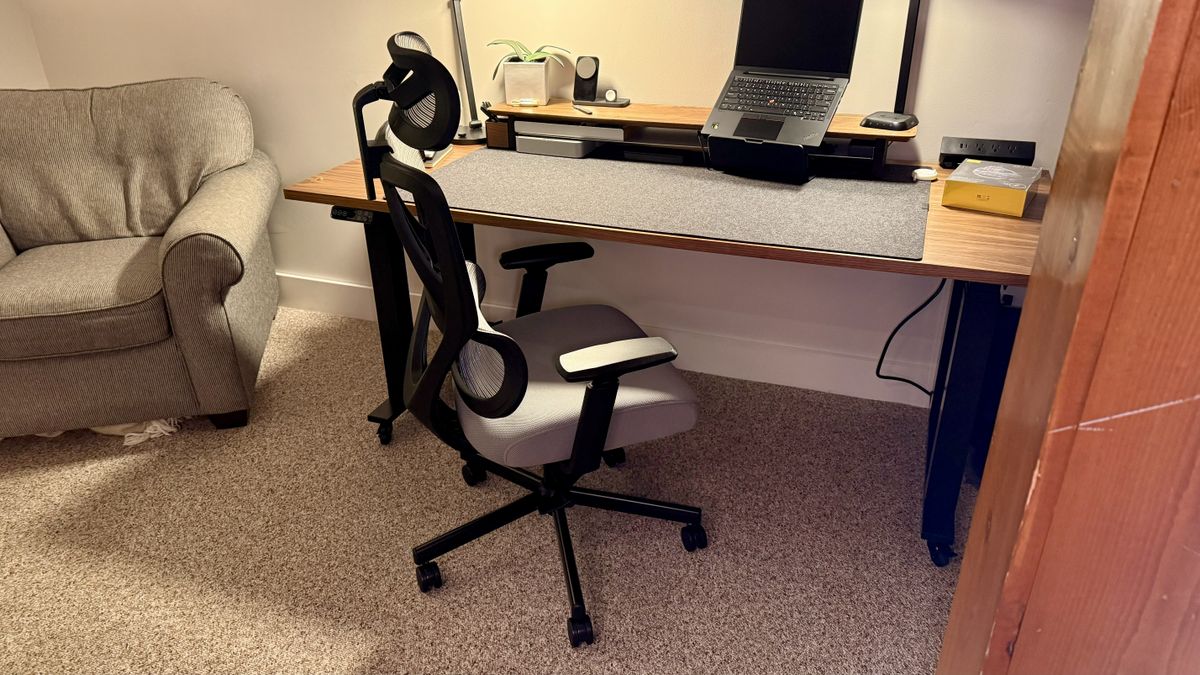ProtoArc EC100 ergonomic chair review