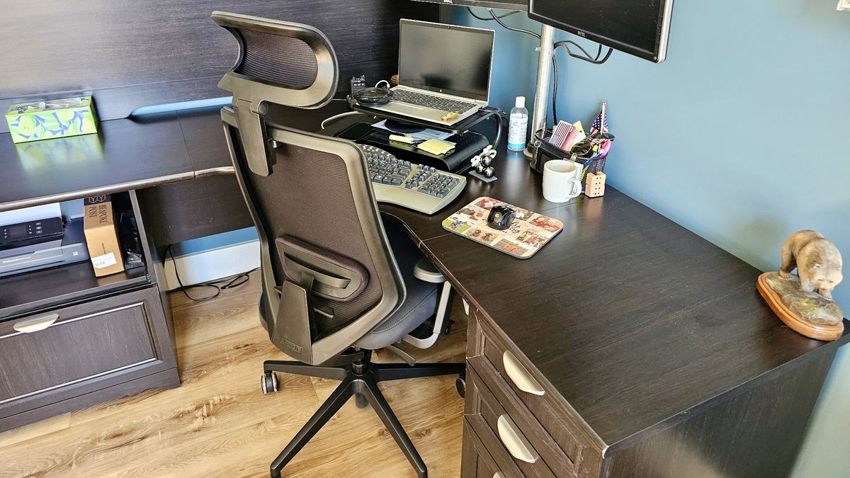Branch Ergonomic Chair Pro office chair review