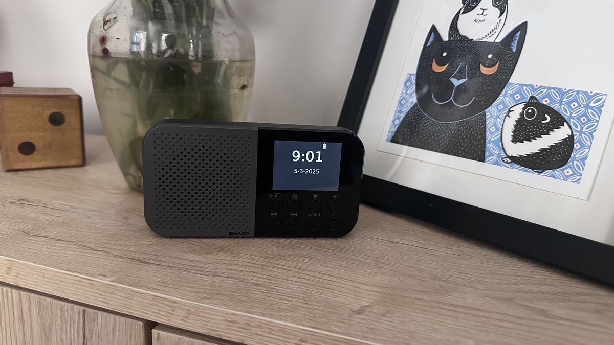 Sharp Osaka review: The DAB radio to take on your travels, but not for audiophile sound quality