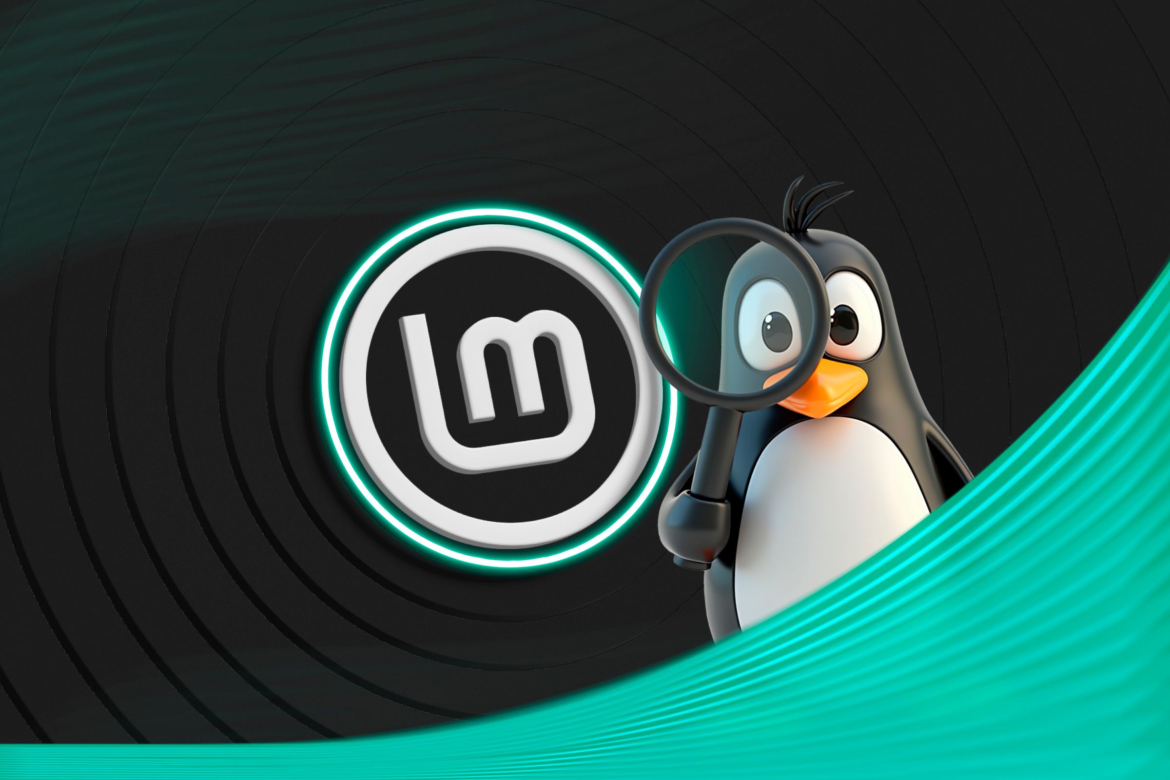 Why I Just Can’t Love Linux Mint