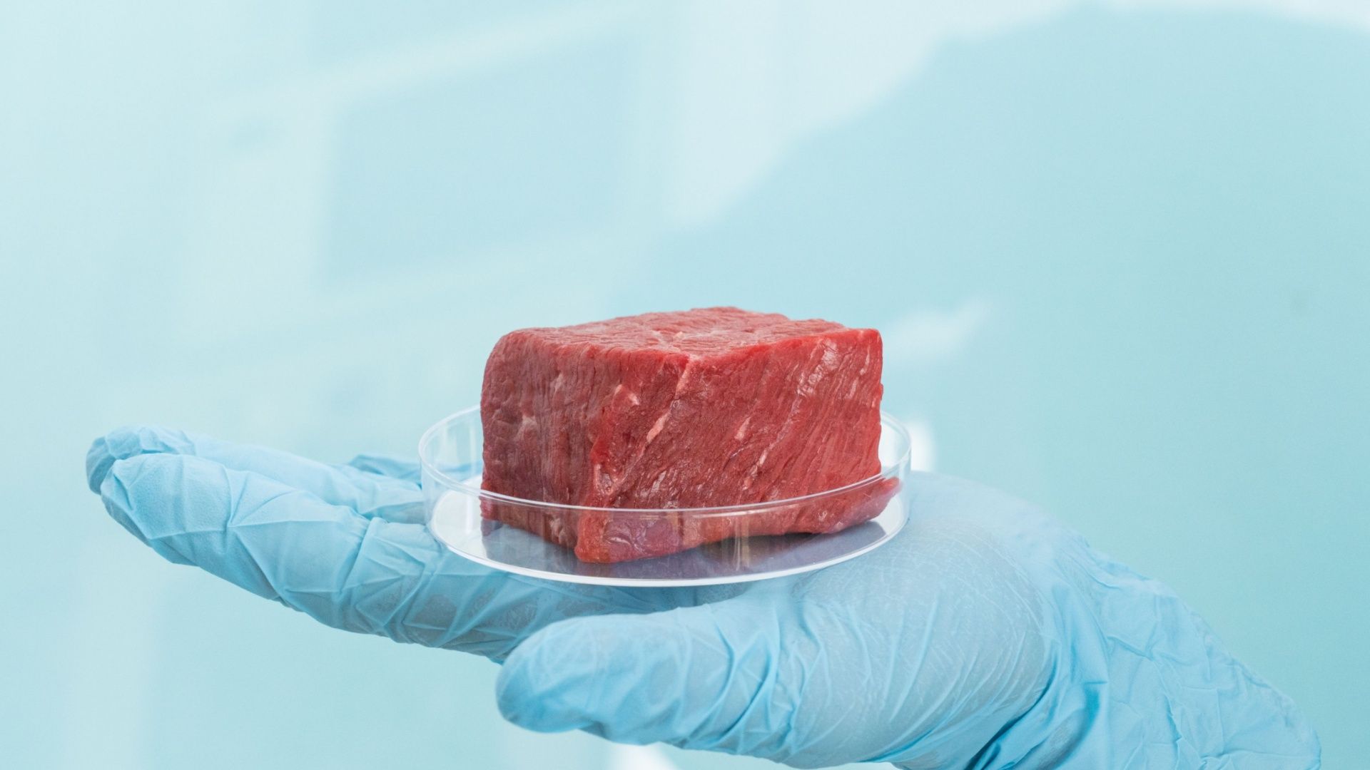 Is Lab-Grown Meat Really the Future?
