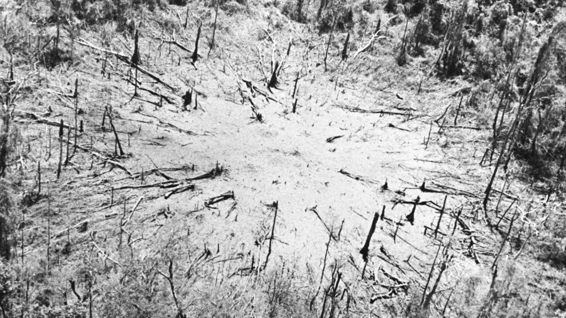 50 years later, Vietnam’s environment still bears the scars of war