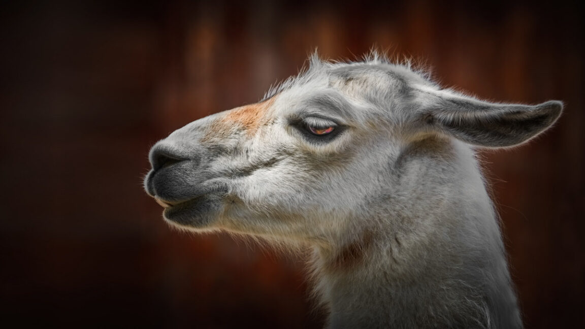Meta’s surprise Llama 4 drop exposes the gap between AI ambition and reality