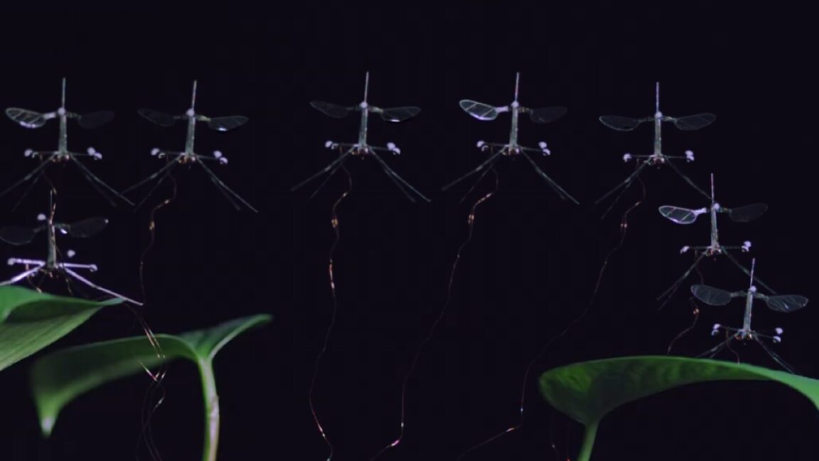 RoboBee sticks the landing – Ars Technica