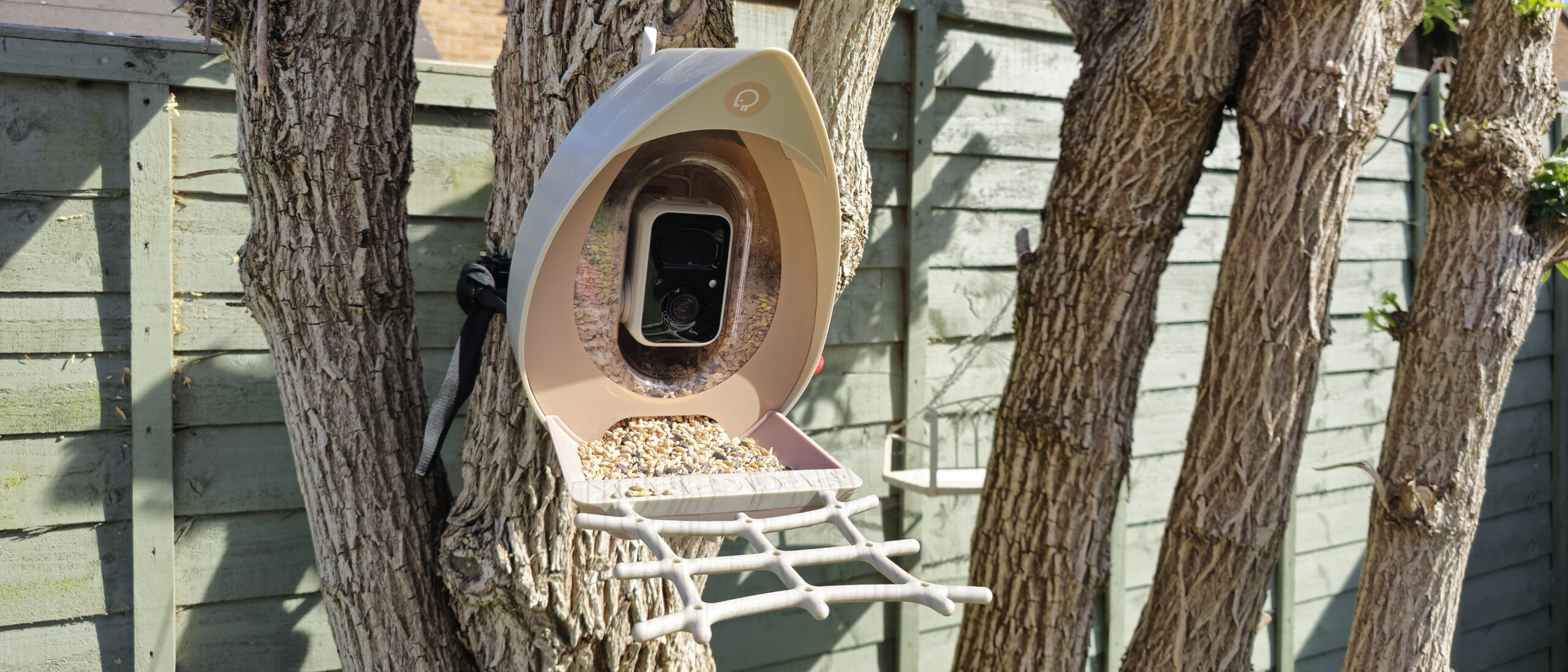 PeckPerk Smart Bird Feeder camera review: This acorn-shaped AI bird camera is great for budding bird watchers