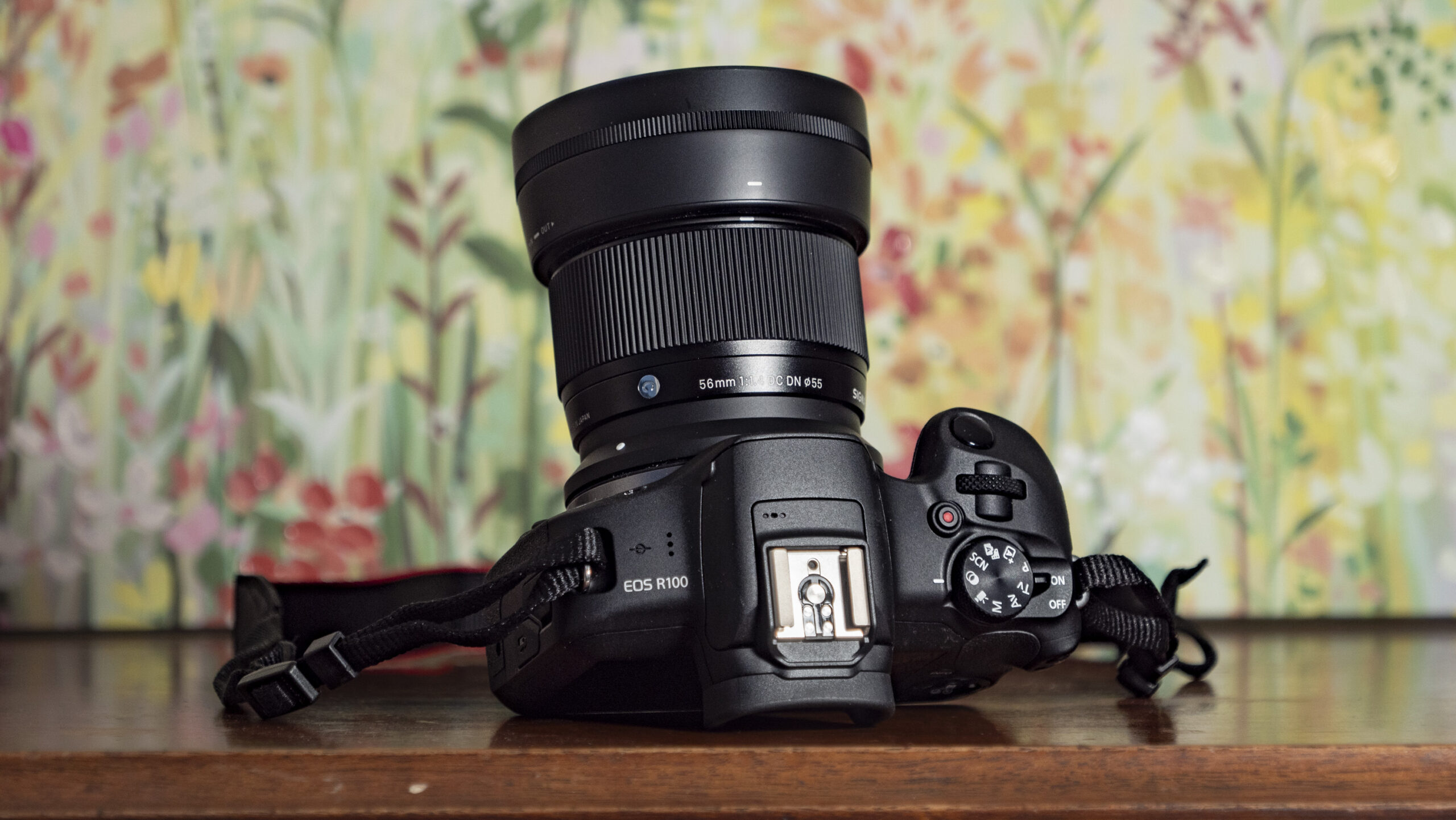 Sigma 56mm F1.4 DC DN Contemporary review: a portrait master for crop-sensor cameras
