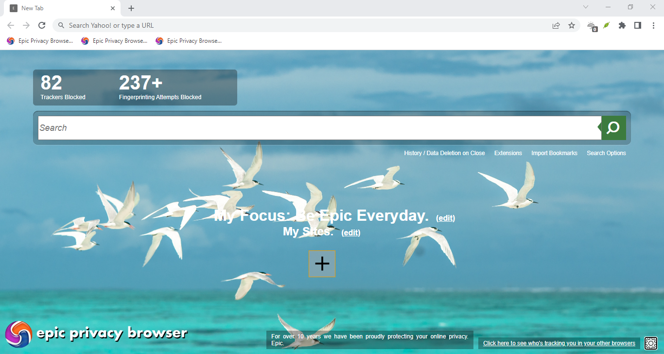 Epic Browser Review: Features, Usage, and Competition